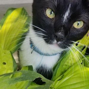 Meet your Posher, Elaine